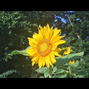 Meet your Posher, Melisa